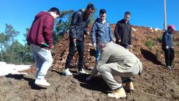 Junta de Freguesia colabora com o CRIF na plantação de Ecobombas