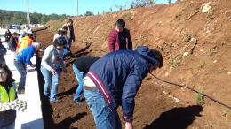 Junta de Freguesia colabora com o CRIF na plantação de Ecobombas