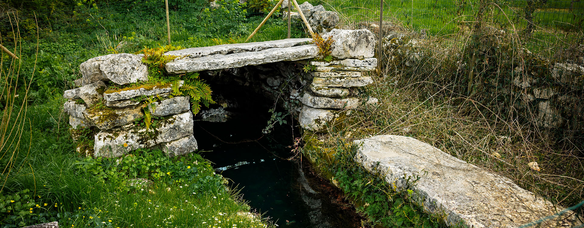 Freguesia de Fátima