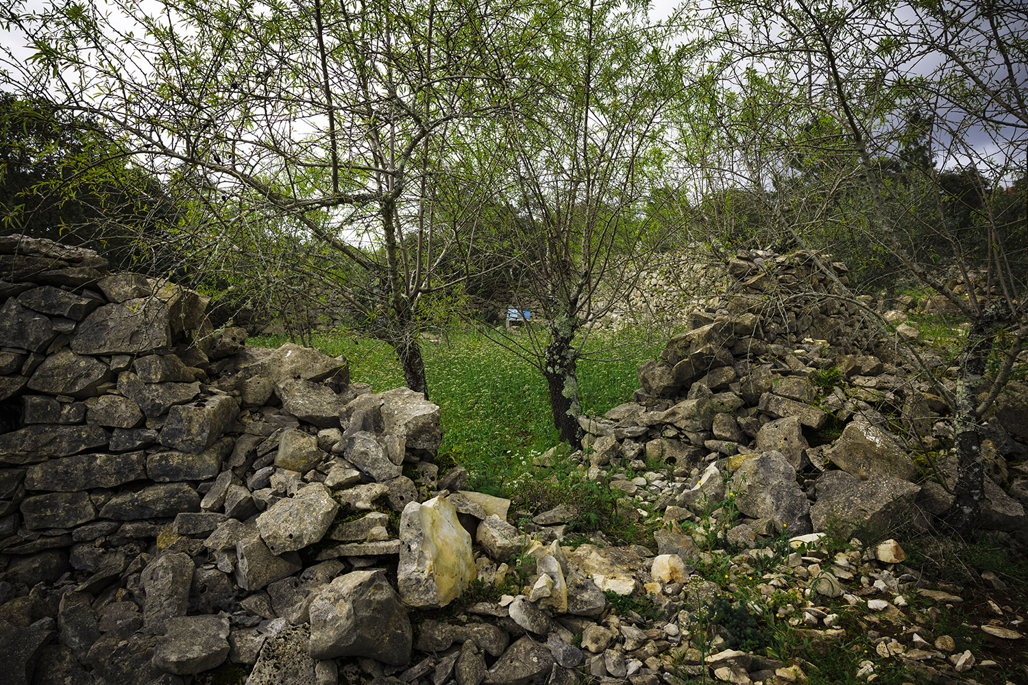 Mercado Freguesia de Fátima