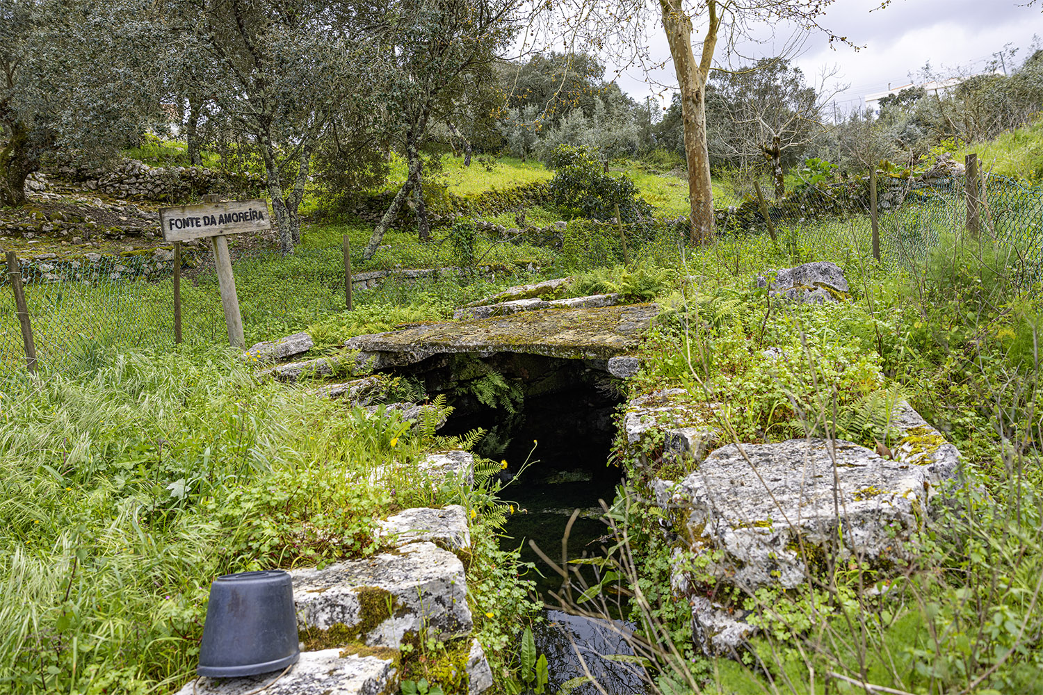 Mercado Freguesia de Fátima
