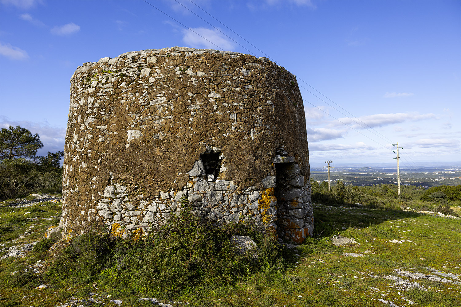 Mercado Freguesia de Fátima