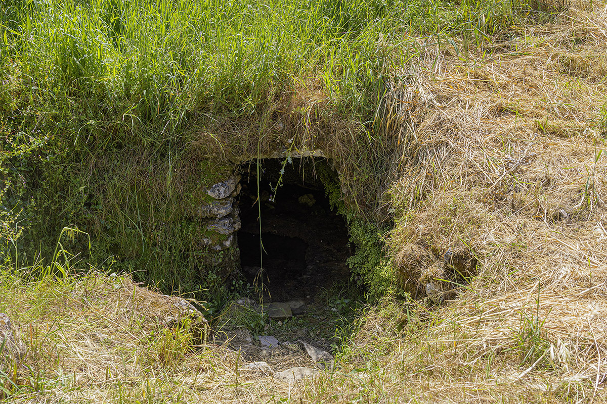 Mercado Freguesia de Fátima