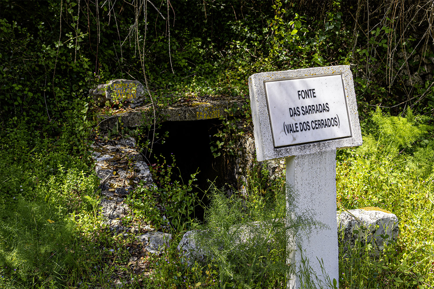 Mercado Freguesia de Fátima