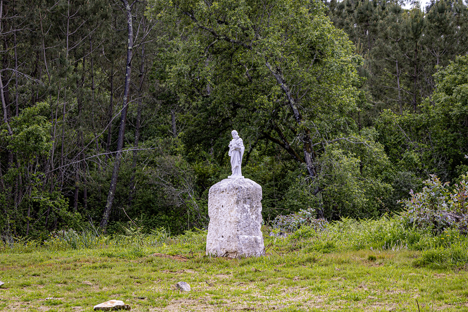 Mercado Freguesia de Fátima