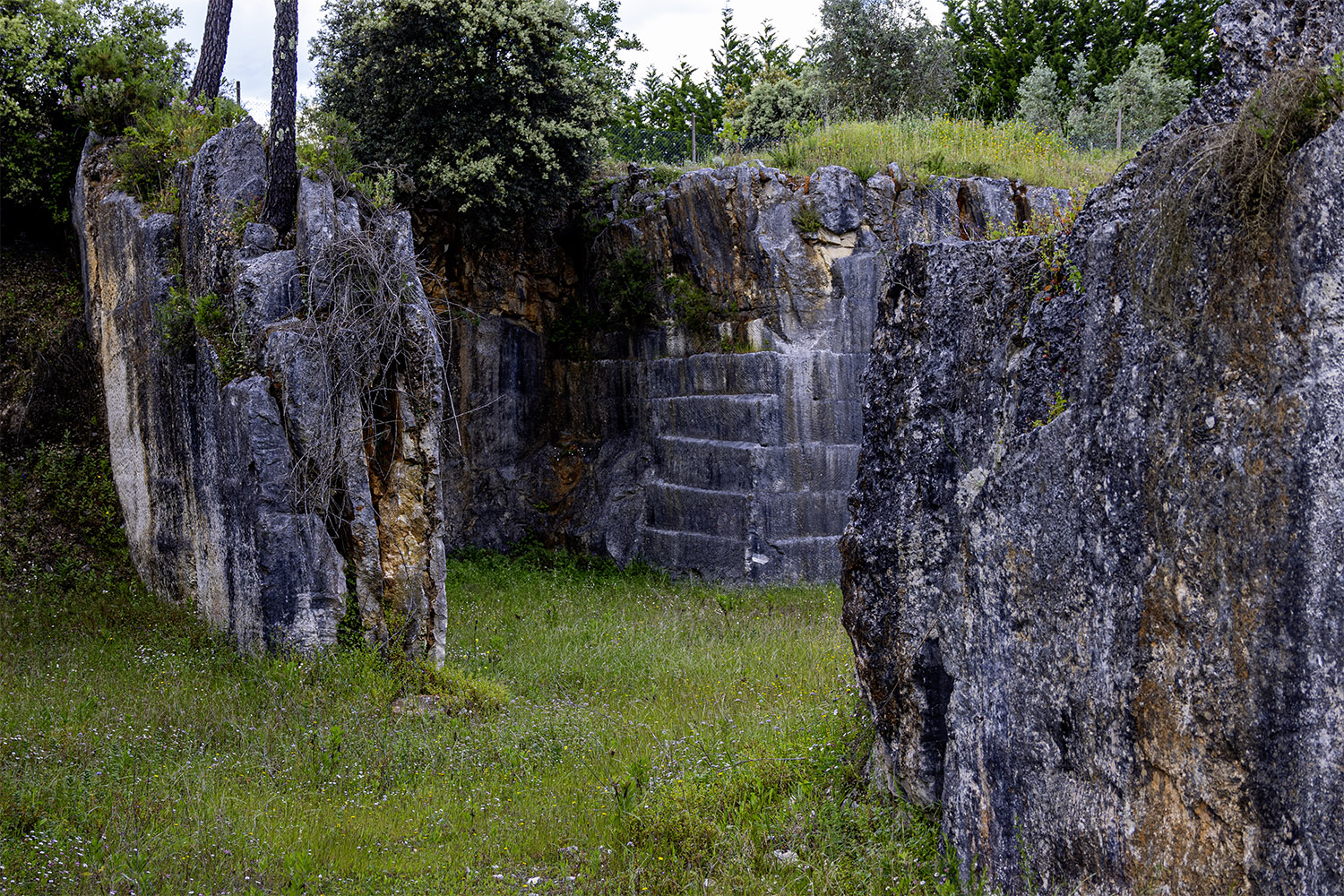 Mercado Freguesia de Fátima