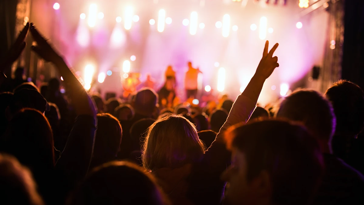 Festas & Celebrações