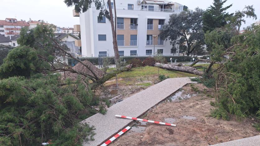 Tempestade Kristin: disponível a plataforma de reporte e levantamento de prejuízos