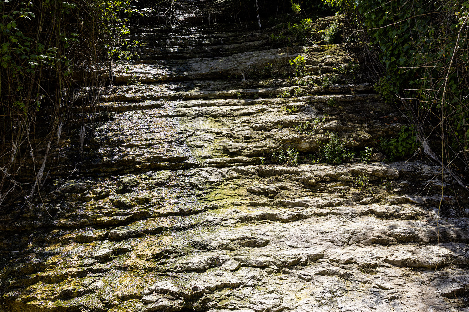 Mercado Freguesia de Fátima