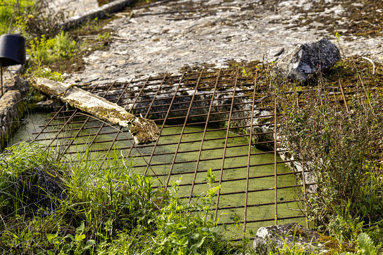 Mercado Freguesia de Fátima