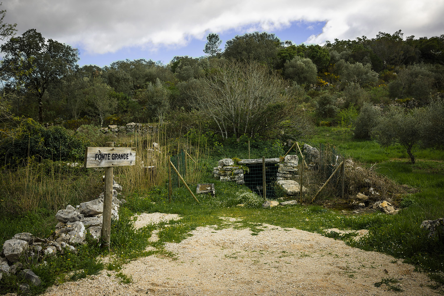 Mercado Freguesia de Fátima