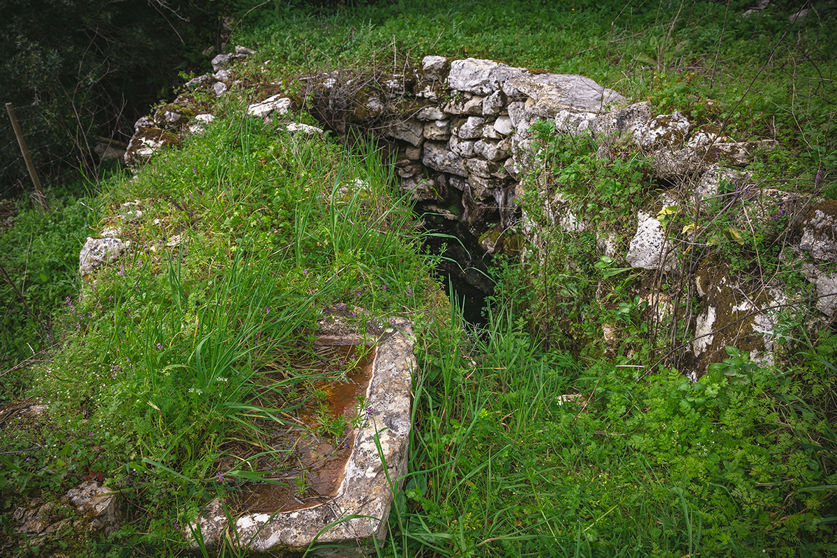 Mercado Freguesia de Fátima