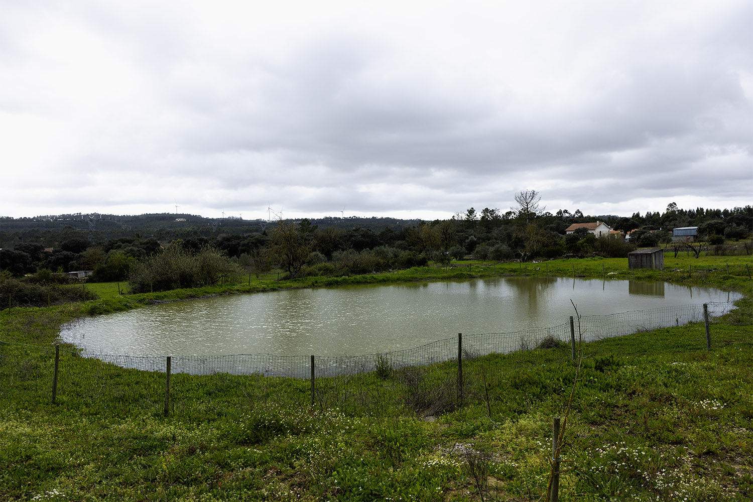 Mercado Freguesia de Fátima