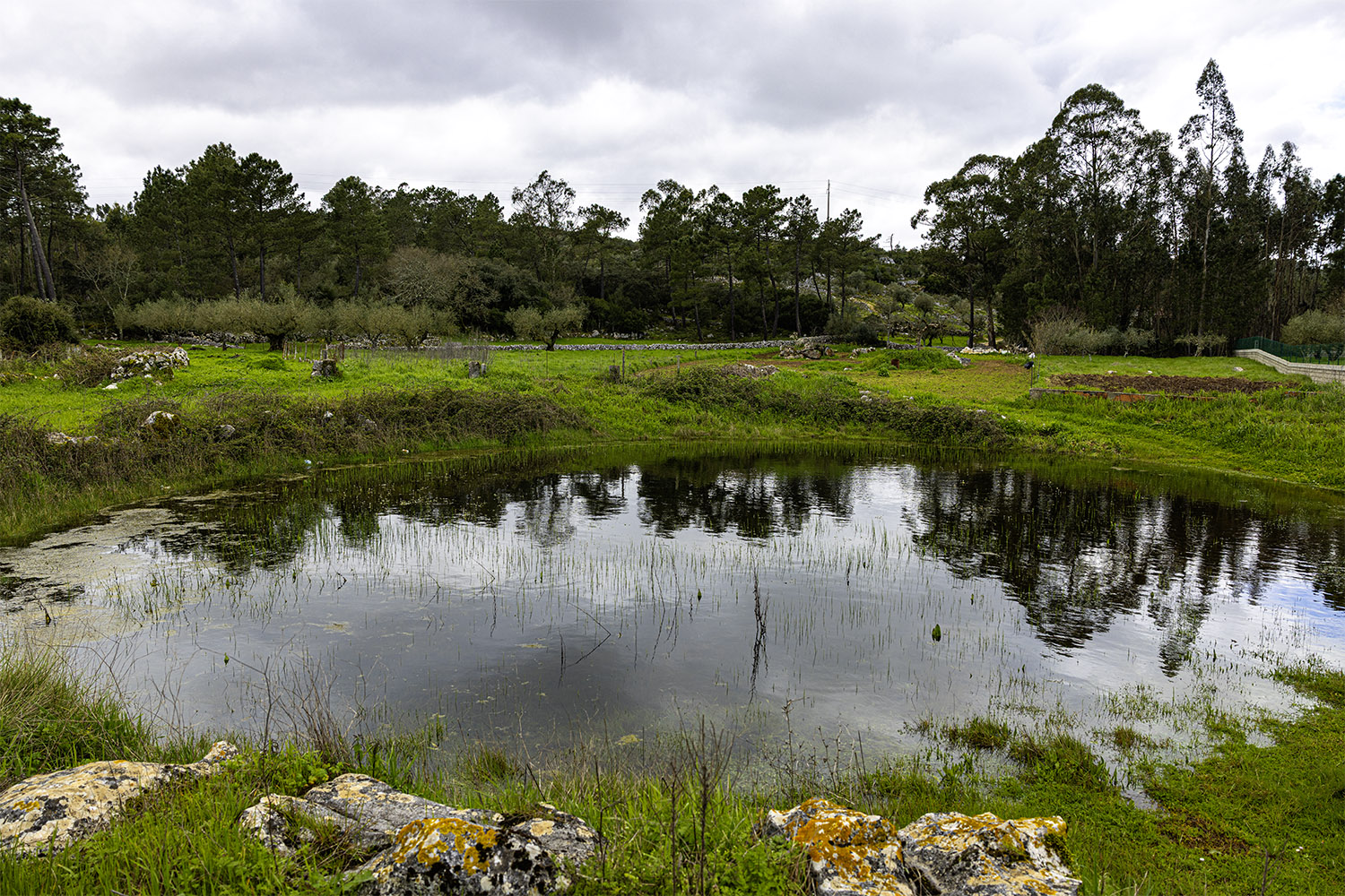 Mercado Freguesia de Fátima
