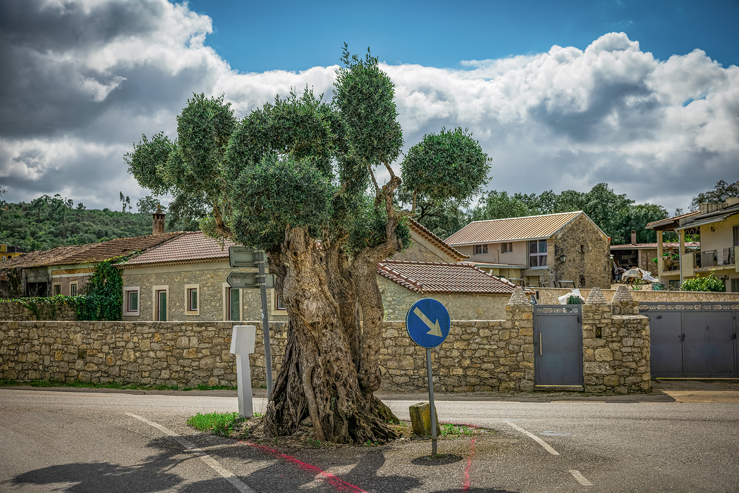 Mercado Freguesia de Fátima