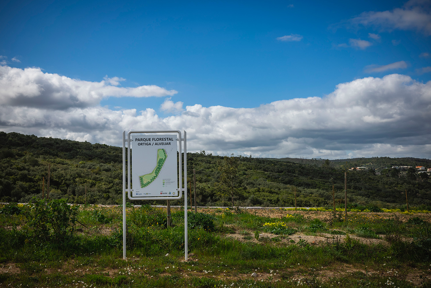 Mercado Freguesia de Fátima