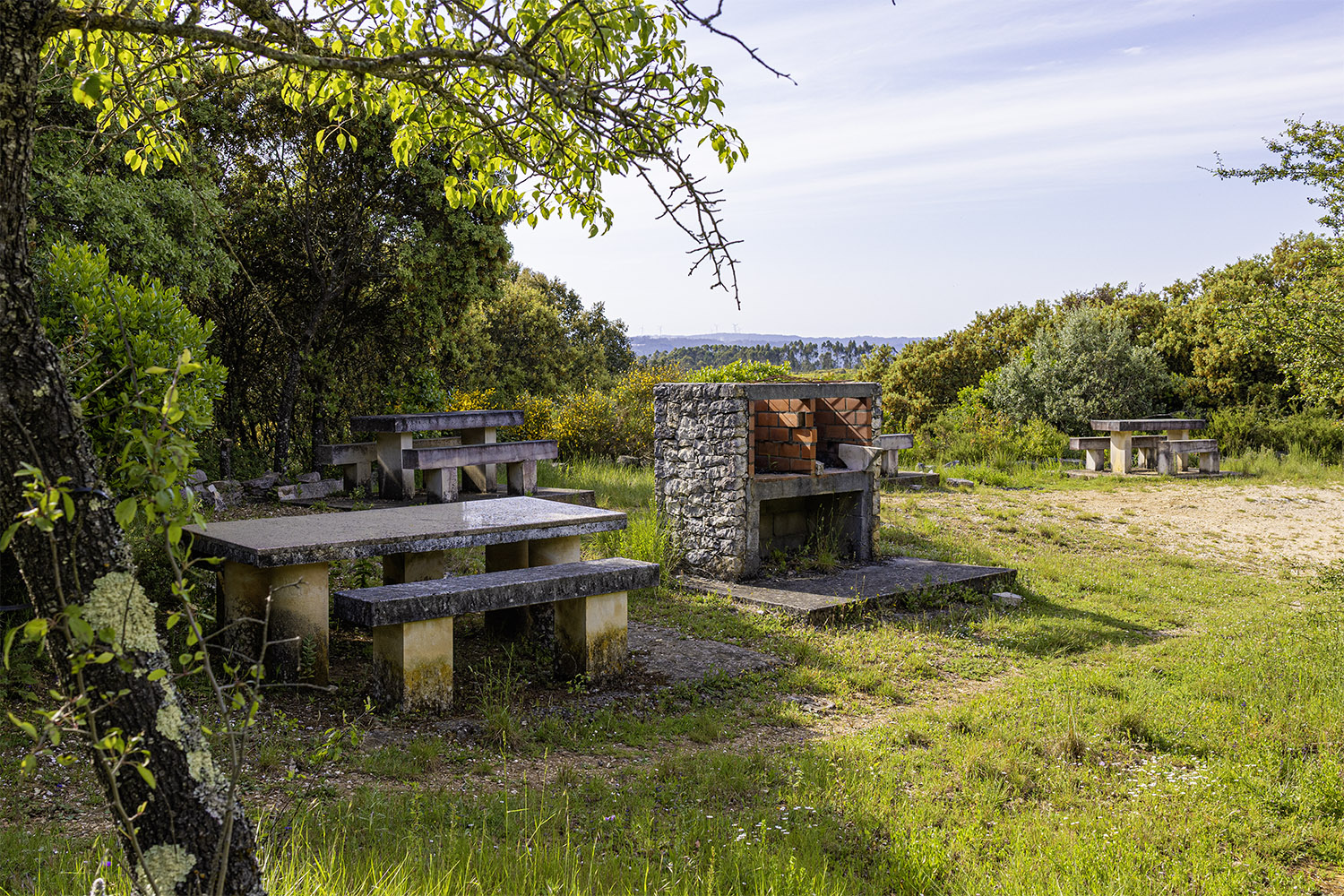 Mercado Freguesia de Fátima