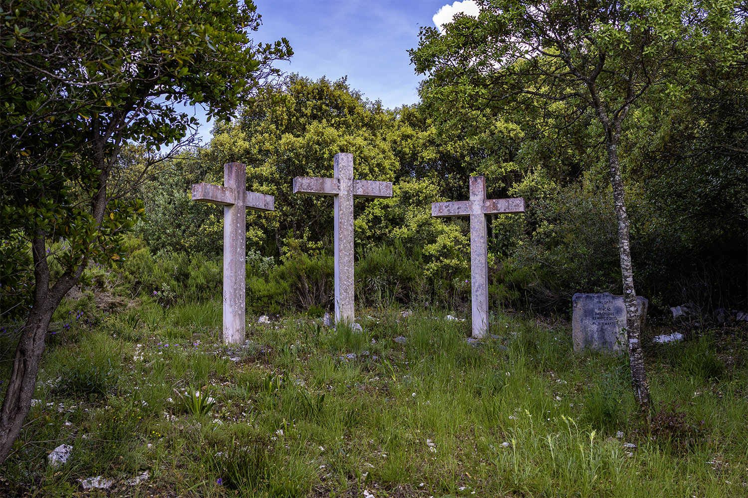 Mercado Freguesia de Fátima
